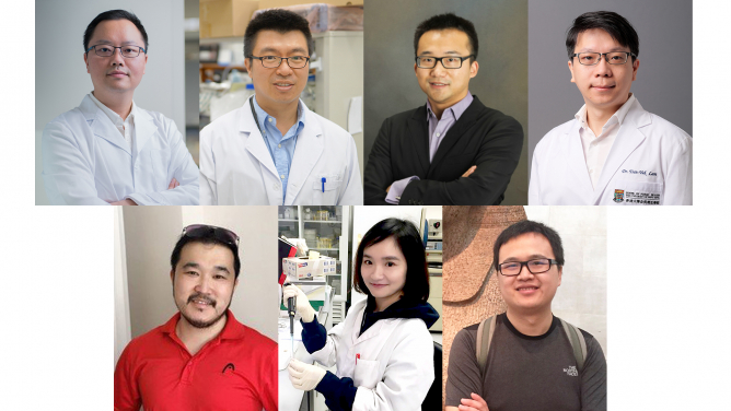 Seven HKU young scientists awarded China's Excellent Young Scientists Fund (Hong Kong and Macau)
Top row from left: Dr Li Xiang David, Dr Anderson Shum, Dr Hu Xiaoqing, Dr Lam Tsan Yuk.
Bottom row from left: Dr Zhang Binzheng, Dr Hui Hannah Xiaoyan, Dr Wu Jin
 